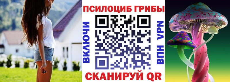 Псилоцибиновые грибы Psilocybine cubensis где продают наркотики Печоры